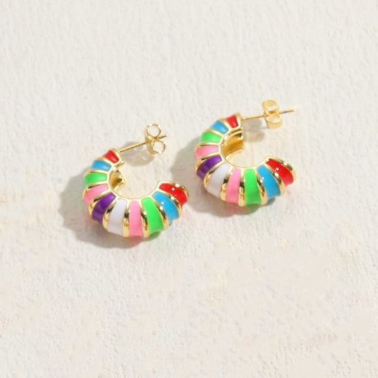 Earrings  - Rainbow  Hoops