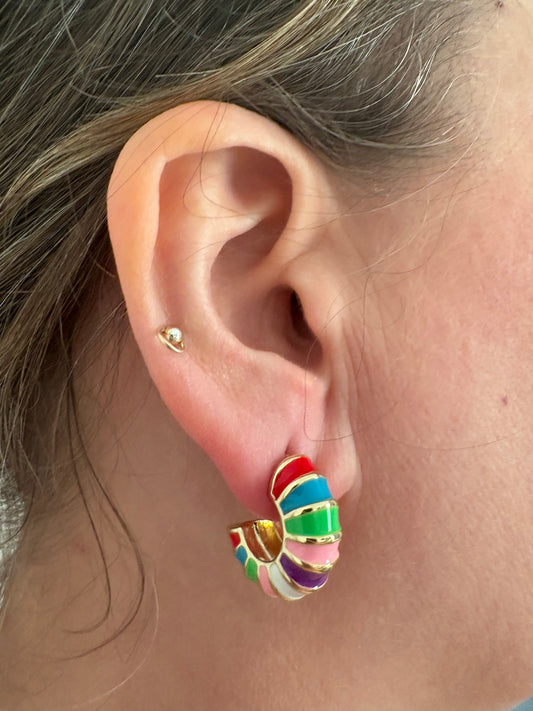 Earrings  - Rainbow  Hoops